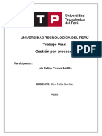 INFORME FINAL Gestion por procesos Luis Felipe Cruces Padilla