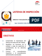 2.1 Sistema de Inspección Del Trabajo (2)