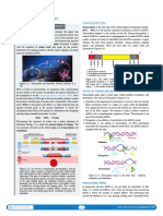 6.04__Protein_Synthesis