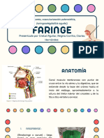 Faringe, Otorrino 3er Parcial