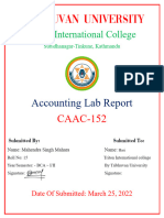 Tally Lab Report (BCA Second Sem)