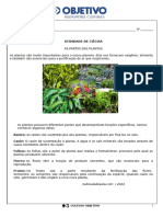 Atividade de Ciências_plantas e vegetais