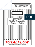 Cromatografo Btu 8000 8100