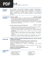 CV Karen Calla ats (1)