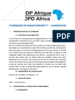 Modèle de Fiche de Présentation commune de NGAOUNDERE 1er