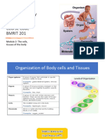 Cell and Tissue