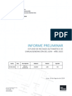 Informe Preliminar del Estudio de RACG 2025