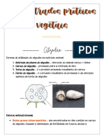 Concentrados proteicos vegetais II