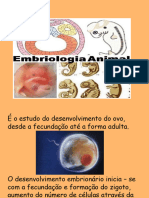 embriologia-160506120014