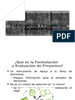 1 Formulacion y Evaluacion de Proyectos