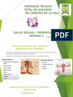 Clase Salud Sexual y Reproductiva Semana 4