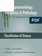 1 SDP Cell Death