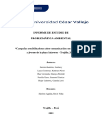 estructura_del_informe_de_problematica_ambiental_final