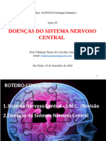 Doenças Infecções do  Sistema nervoso 12-10-20