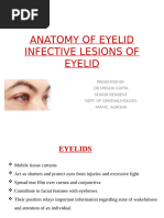 EYELID LECTURE