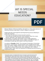 What is Special Needs Education Rakkis Report