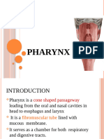 Pharynx - Ppt (1)