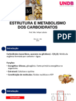 05 Estrutura e Metabolismo Dos Carboidratos_compressed_5074e67682889646ce5d3caa8a3c6234