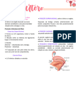 Resumo Anatomia UC 10