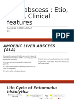 Liver abscess_65