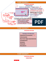 Plant Diversity L3