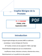 Hypertrophie Bénigne de la Prostate 2 VF