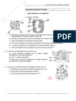 06 y y 8_EBAU_ La célula_ tipos y orgánulos. alumnado