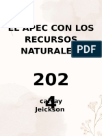 El Apec Con Los Recursos Naturales_20241205_103449_0000