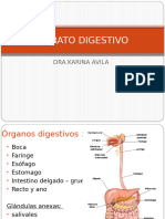 Practico de Digestivo i y II