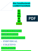 Slides Remédios Constitucionais