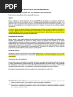 INFORME DE AUDITORIA EMITIDO POR UN AUDITOR INDEPENDIENTE