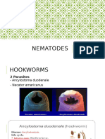 Nematodes 2