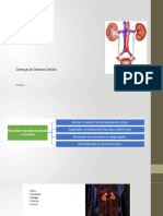 Doenças Do Sistema Urinário