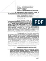 APELACIÓN DE AUTO SOBRE VIOLENCIA FAMILIAR - HETSON WILDER SORJANO SALAZAR