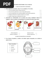 Preguntas supletorio_Tercer trimestre