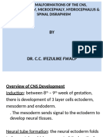 common mannifestations of the cns