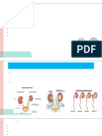 L5- Diseases of the Kidney and Ureter –P2_removed (1)