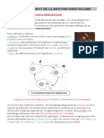 La Reconnaissance Du Soi Et Du Non Soi