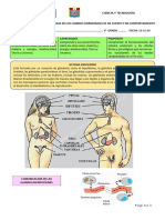 4° sist. endocrino. (1)