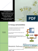 Cellular energetic (1)