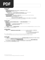 PDF Documento