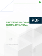 Anatomorfisiologia 2