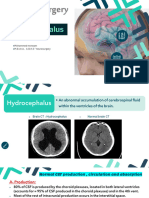 L4-Hydrocephalus