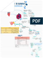 tasa de filtración glomerular