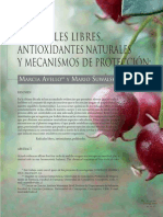 Radicales_libres_antioxidantes_naturales