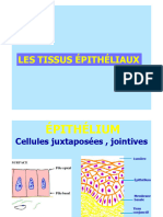 Epithéliums 2021-22.ecampus FSSM