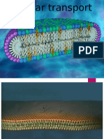 Cellular Transport