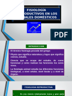 Ciclo Reproductivo (1)