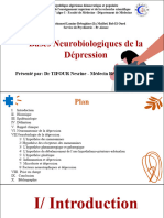 R1 Neurobiologie de la depression