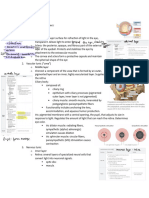 Ophthalmology 